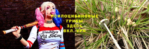 ALPHA-PVP Алексин