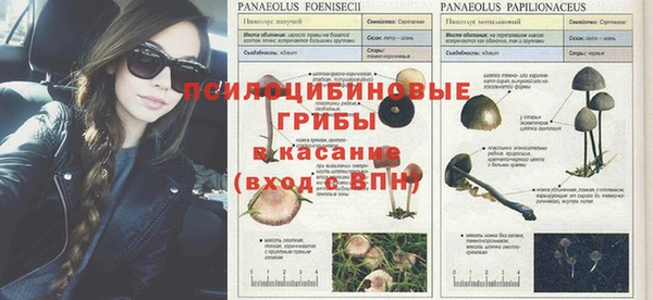 прущий лед Алексеевка