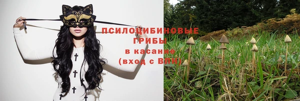 МДПВ Новосибирск