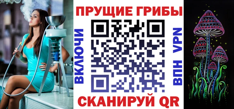 Псилоцибиновые грибы Cubensis  Зеленокумск 