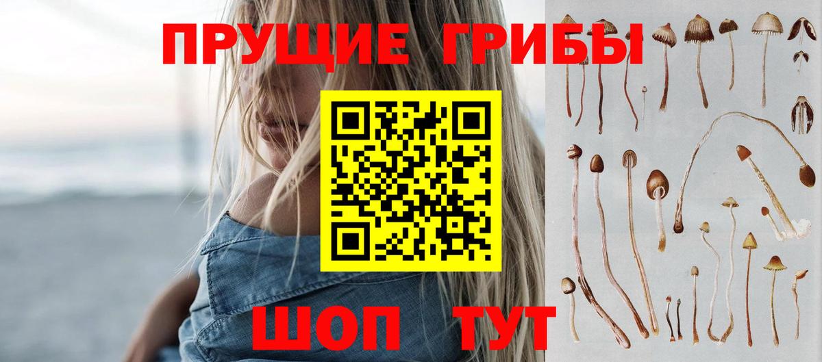 Галлюциногенные грибы Cubensis Зеленокумск