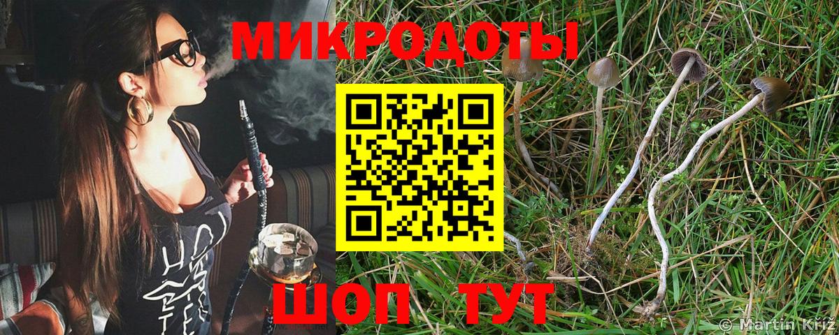 Галлюциногенные грибы GOLDEN TEACHER  Вход с VPN  Зеленокумск  дарнет шоп  Галлюциногенные грибы Cubensis 